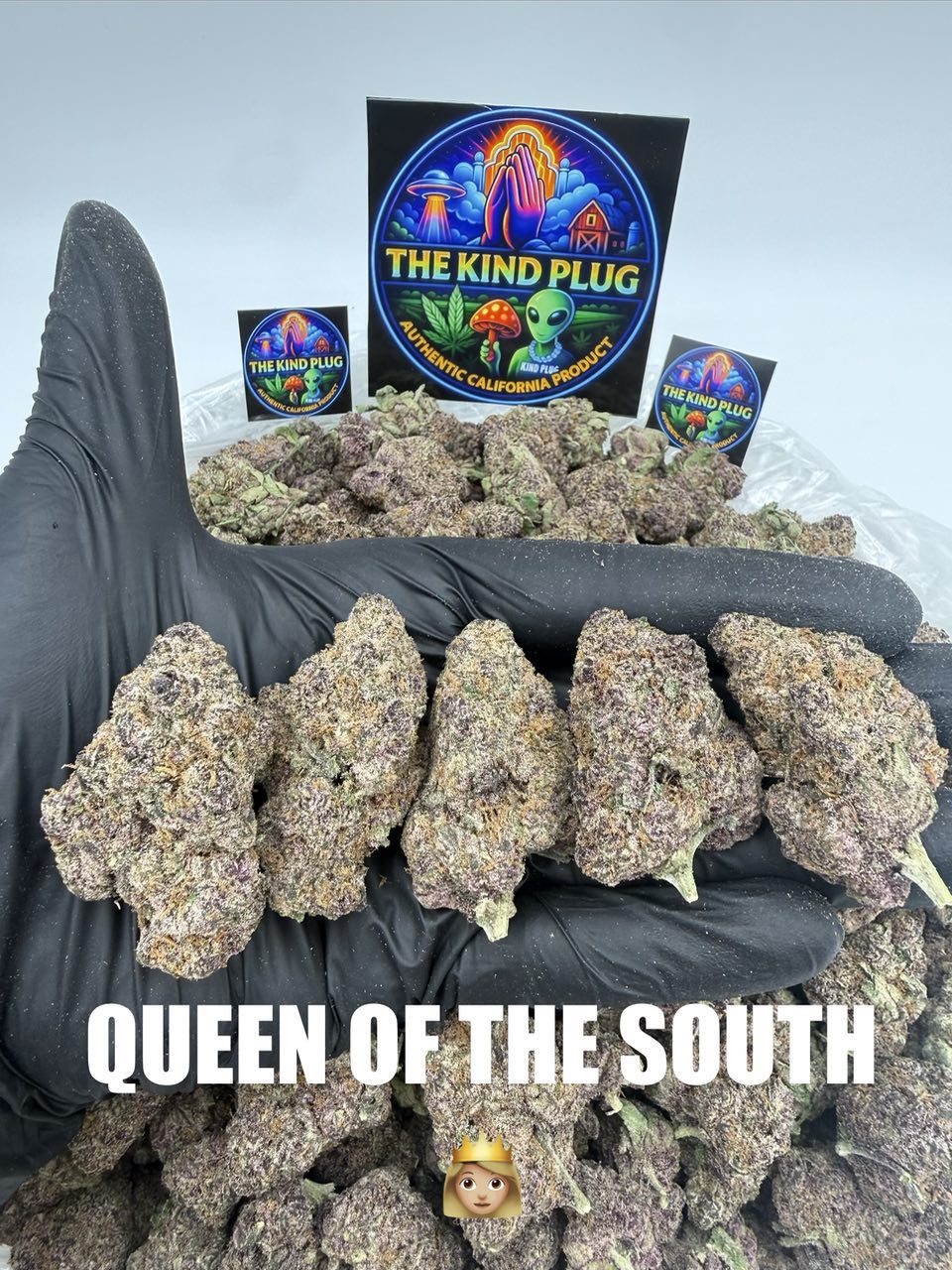 QUEEN OF THE SOUTH Slide 1